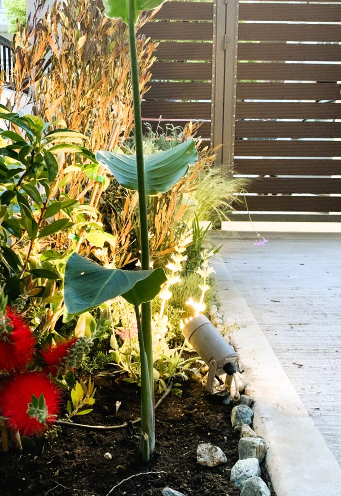 Courtyard Garden @ Renti