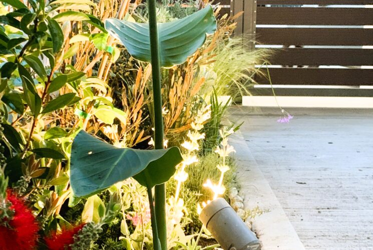 Courtyard Garden @ Renti
