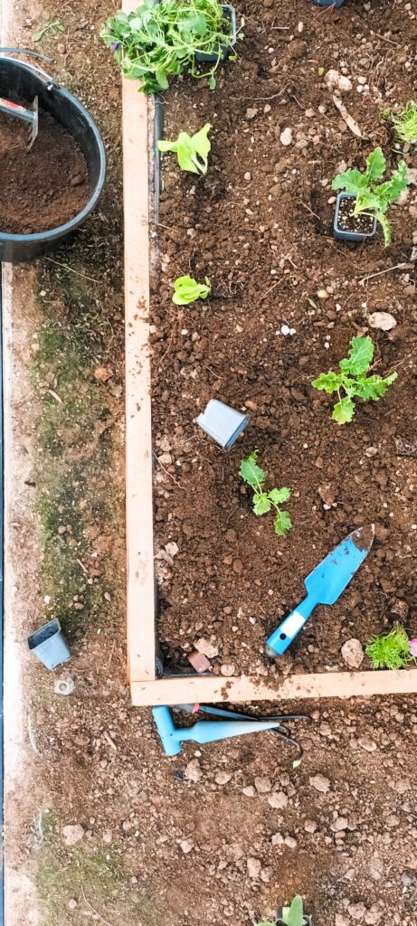 Edible Garden @ Kavouri