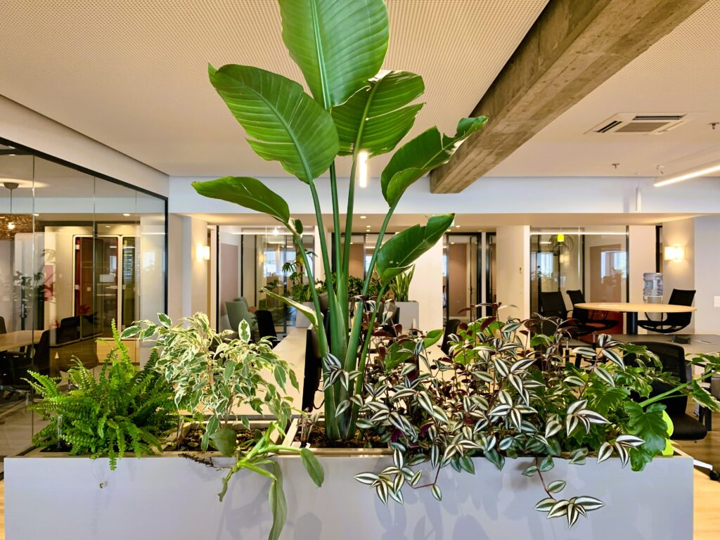 Interior Green Office @ Marousi