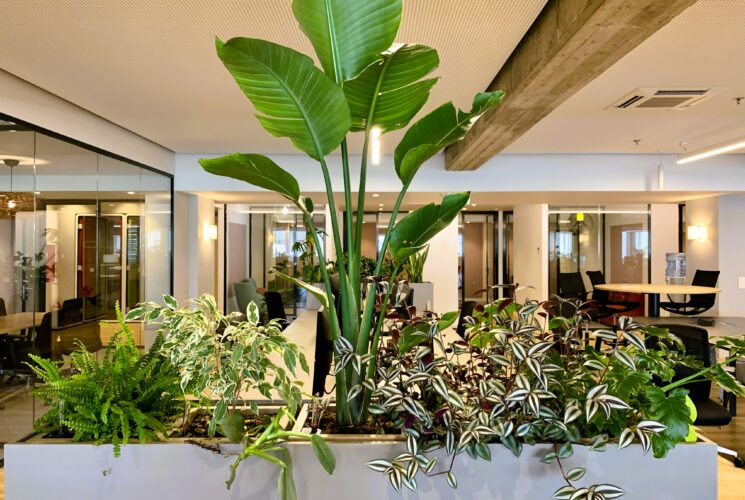 Interior Green Office @ Marousi