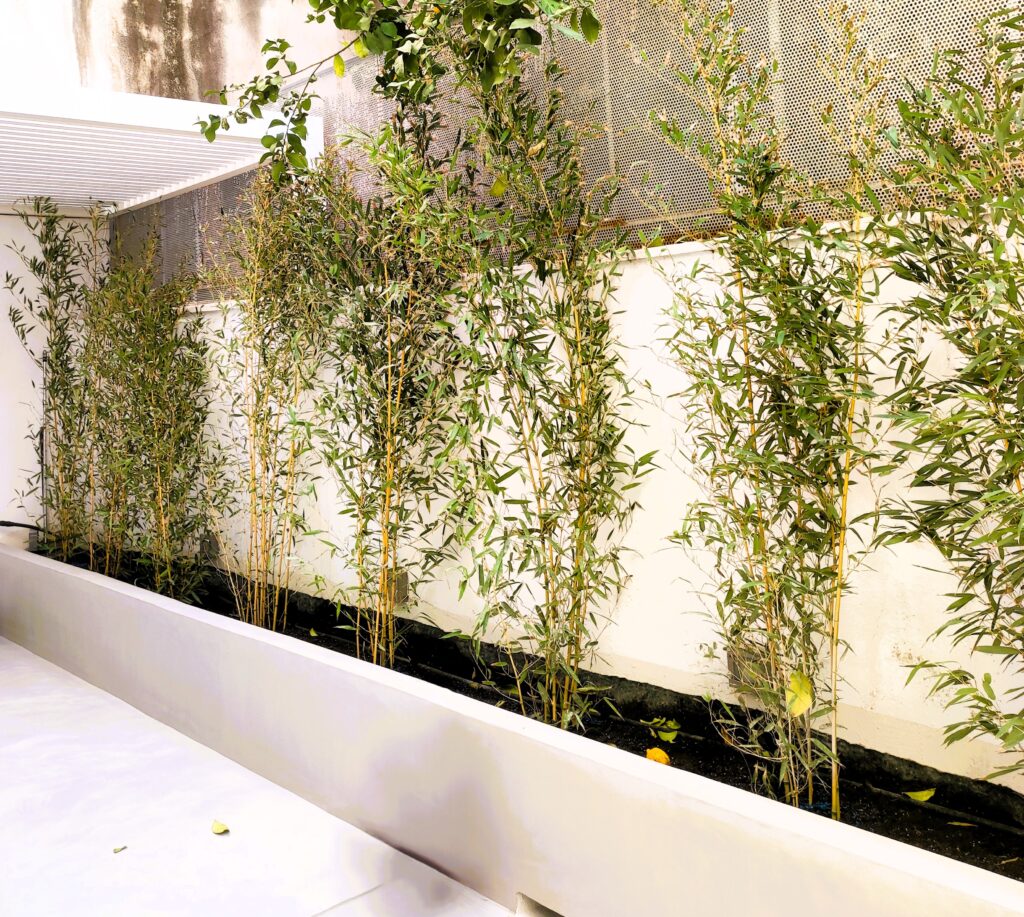 Urban Green Terrace @ Neos Kosmos