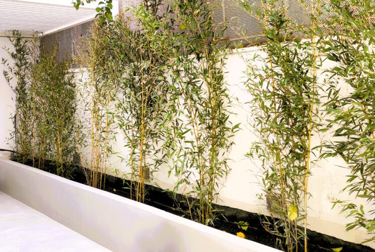Urban Green Terrace @ Neos Kosmos