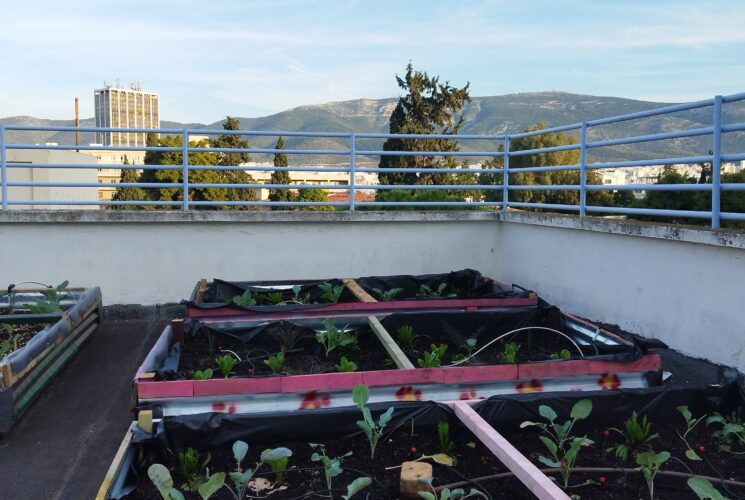 Prototype Rooftop School Garden @ Ampelokipoi, Athens
