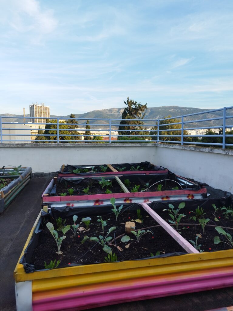 Prototype Rooftop School Garden @ Ampelokipoi, Athens