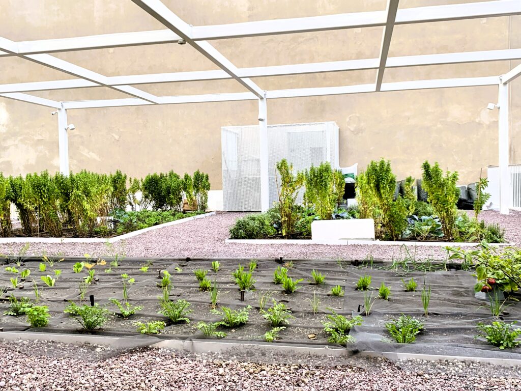 Rooftop Food Garden @ N.Kosmos